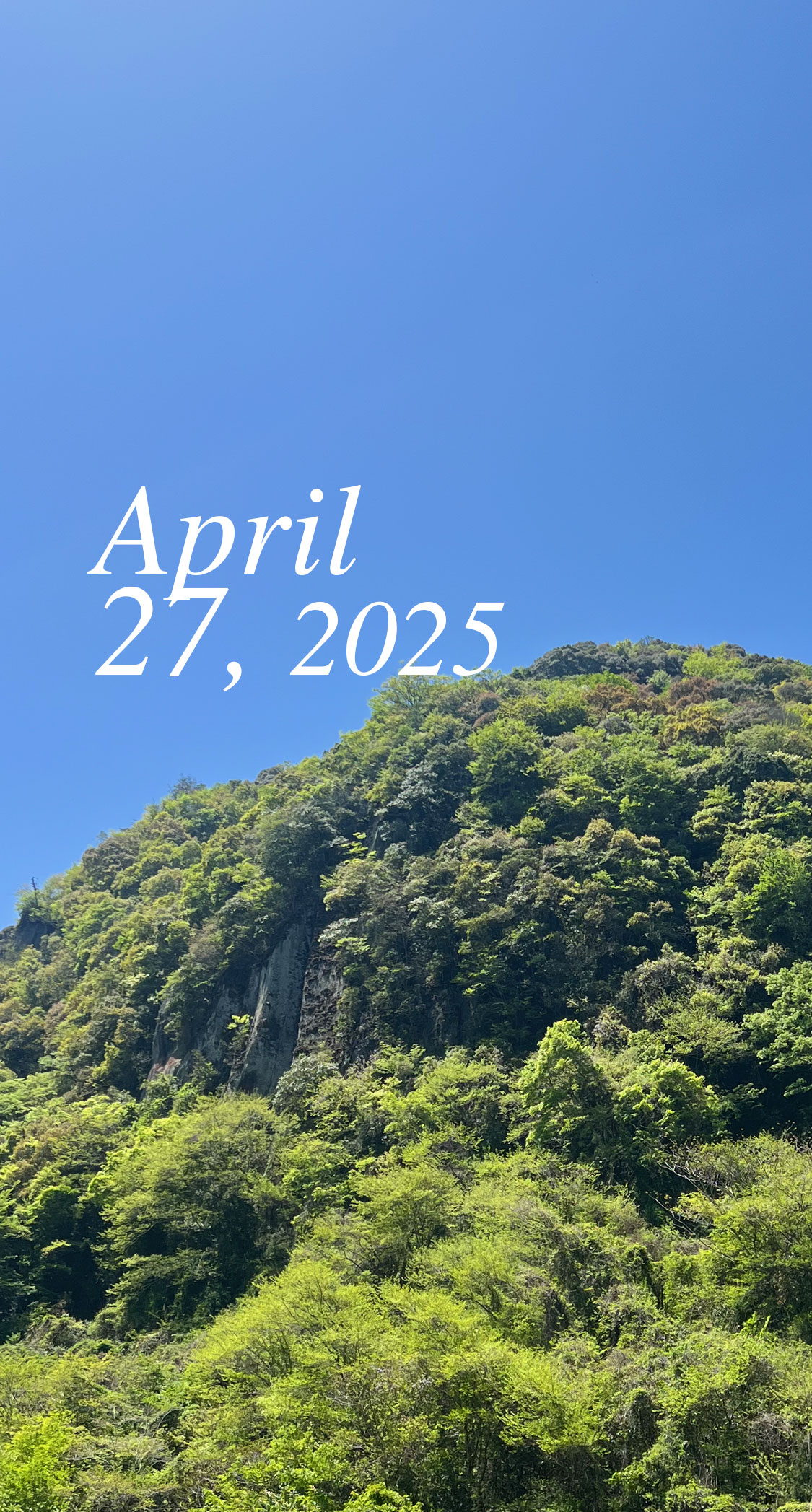 一目八景の岩山。