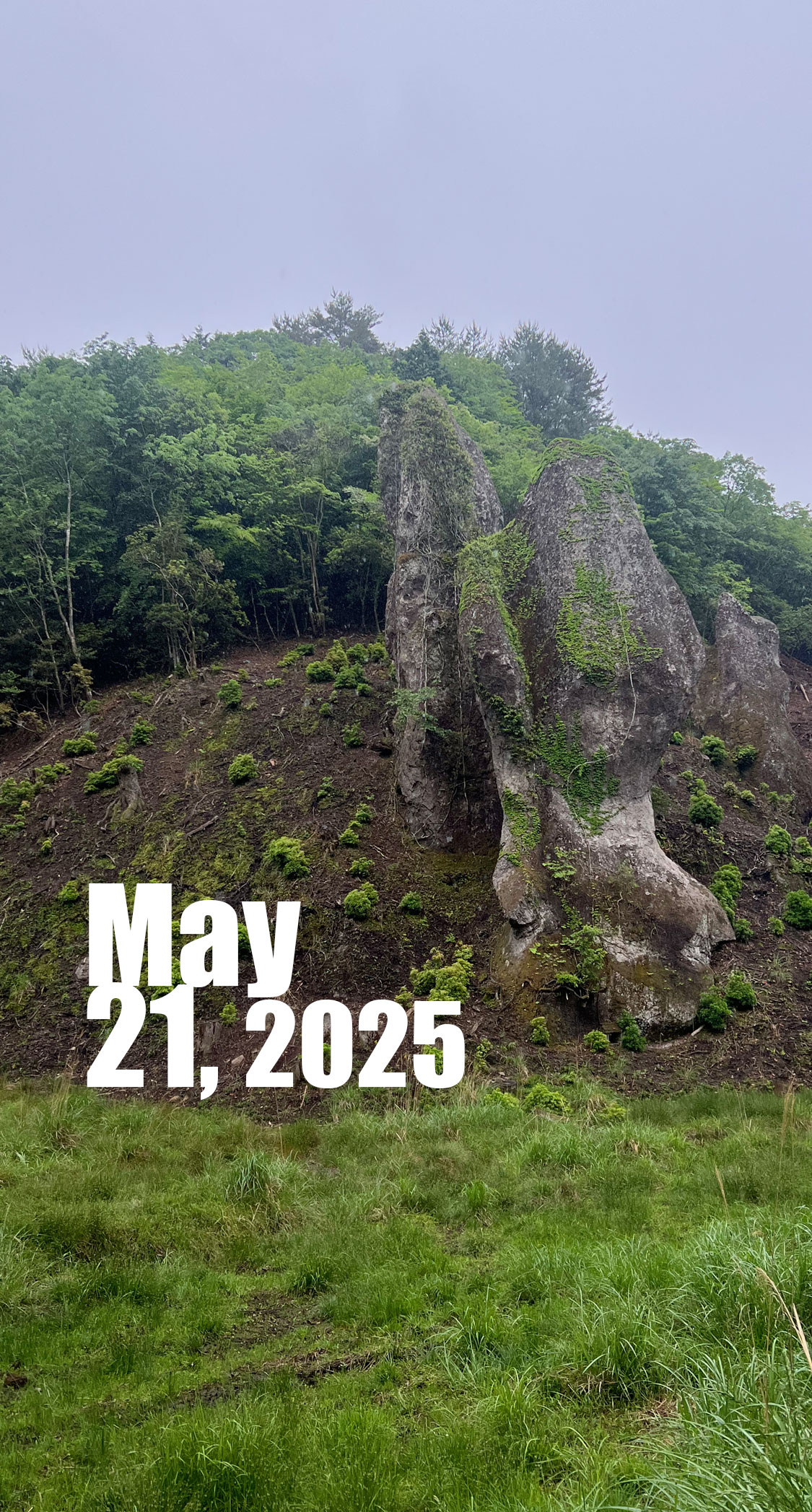 雨の日の山道。