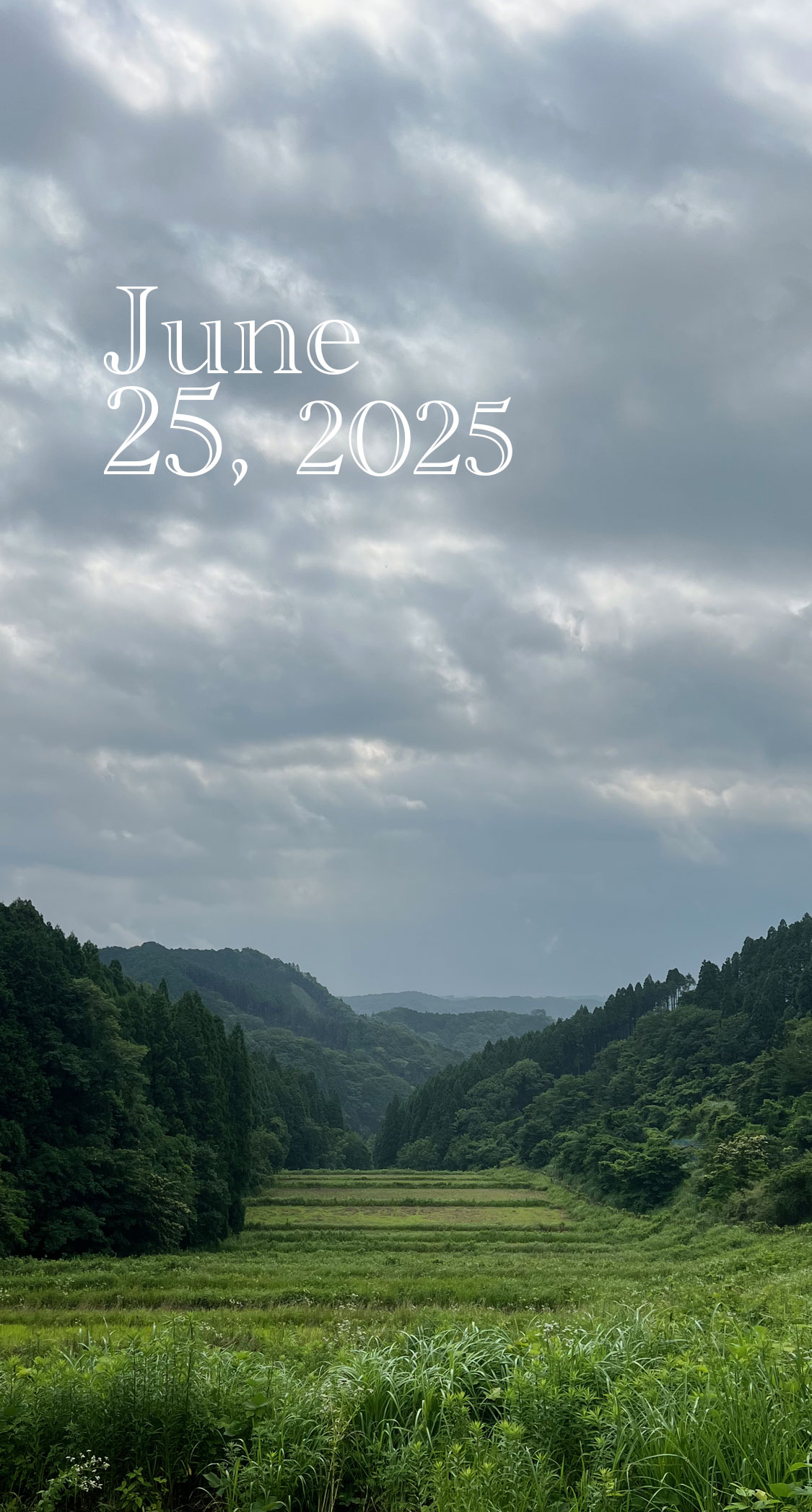 雨に邪魔される。