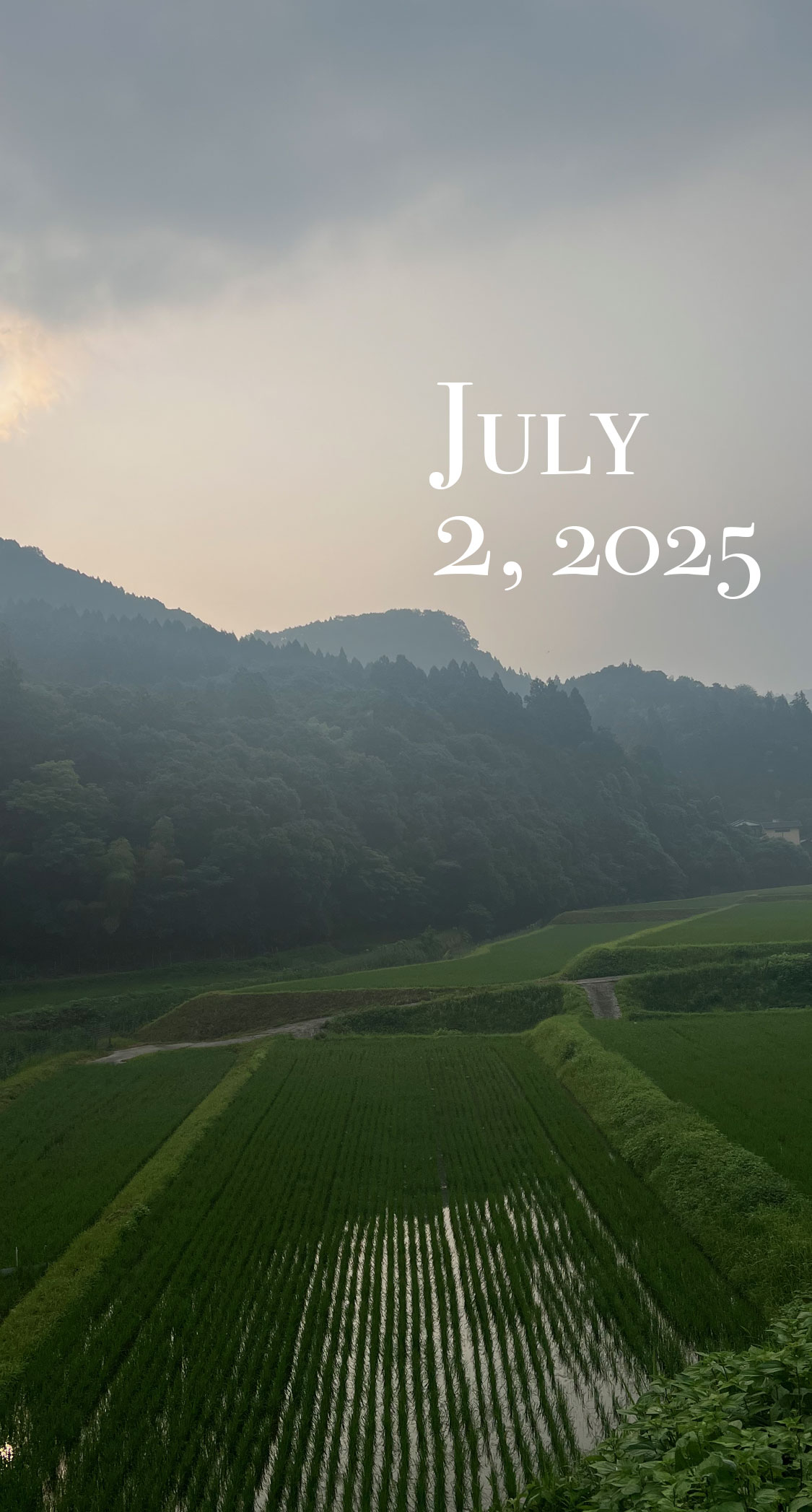 靄と高温。