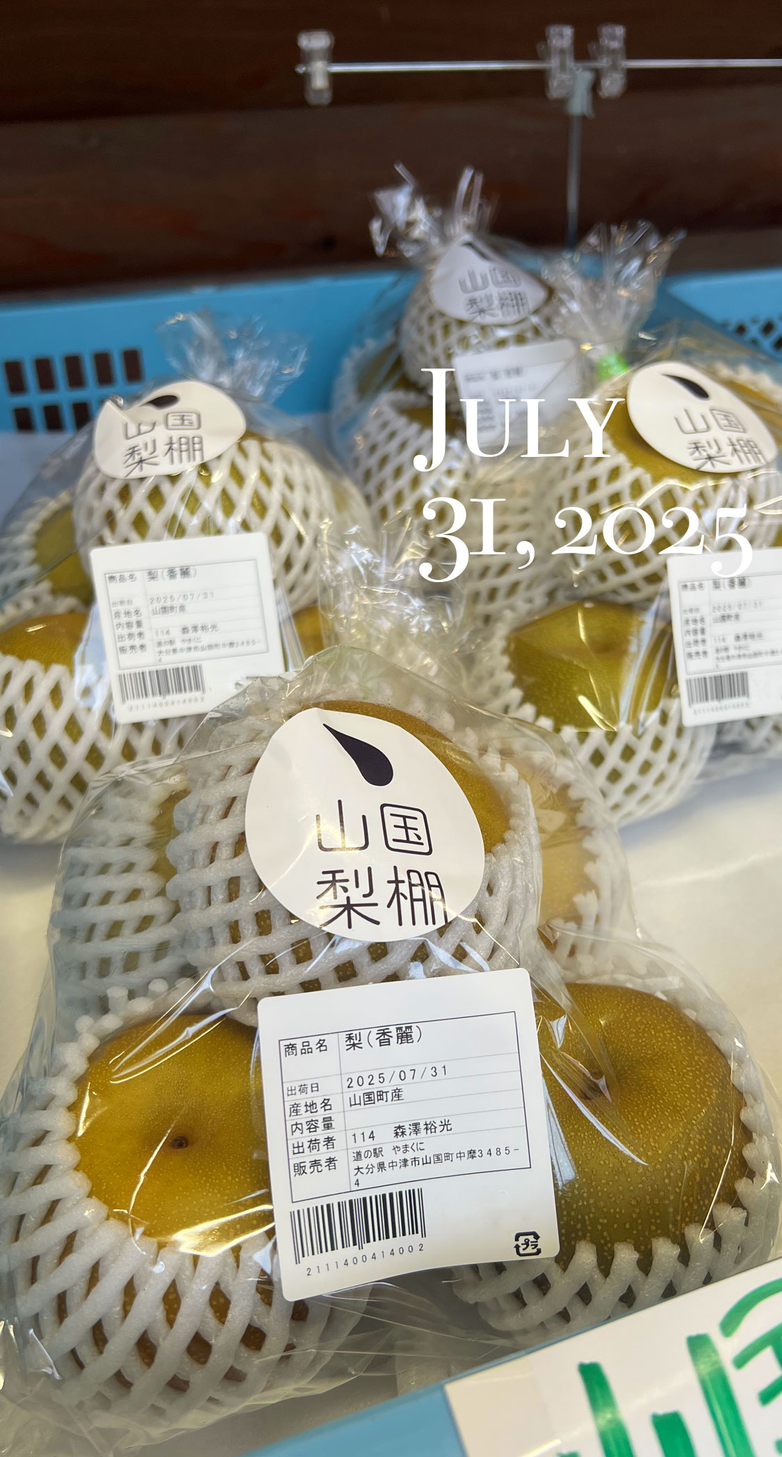 香麗の出荷開始。