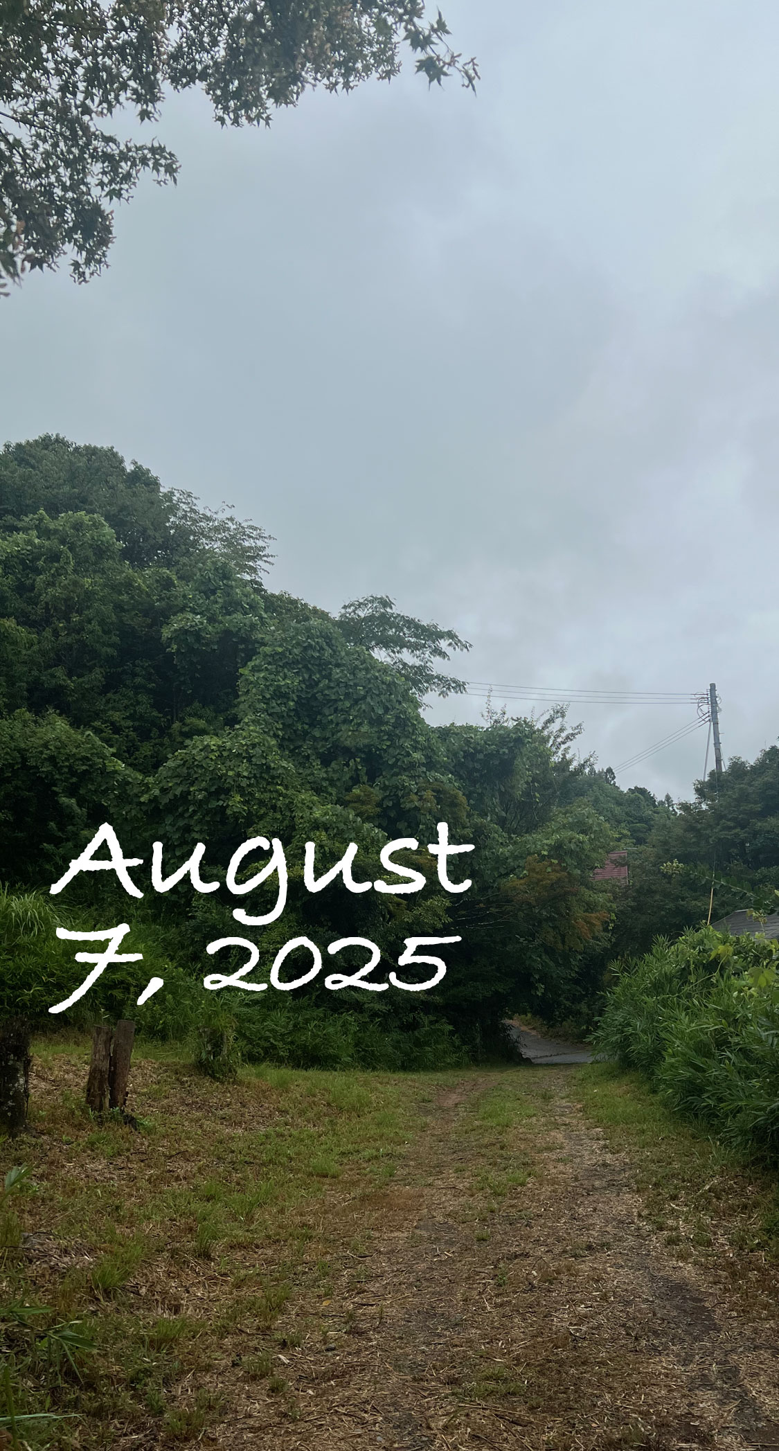 ゲリラ豪雨。