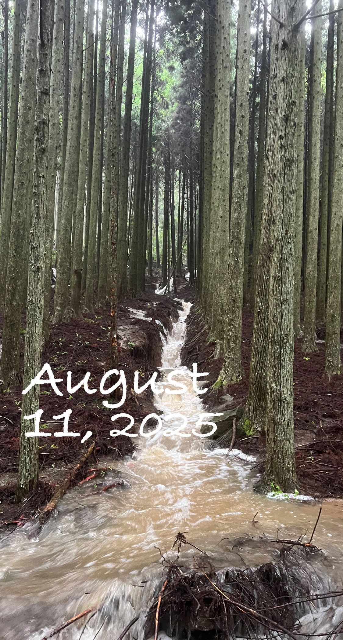 線状降水帯発生。