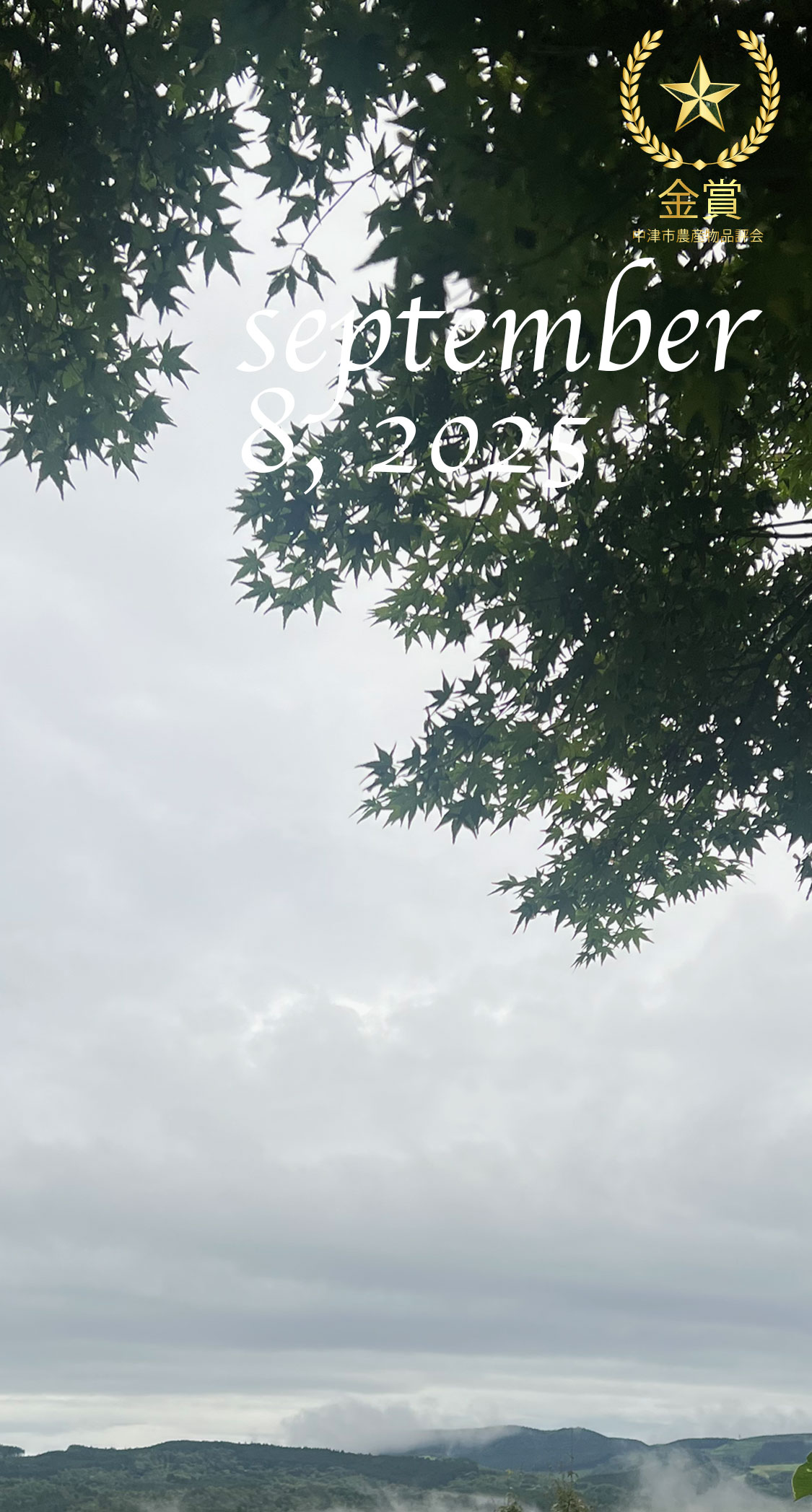 雨の週明け。