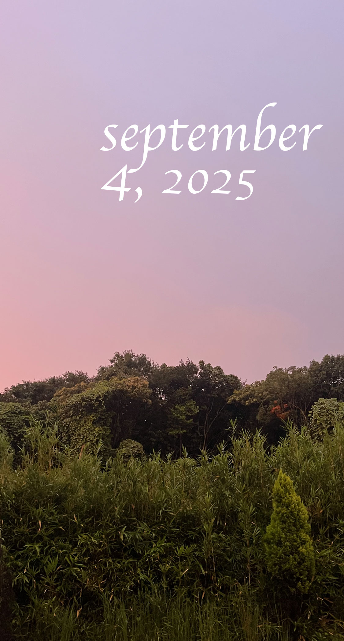 台風通過中。