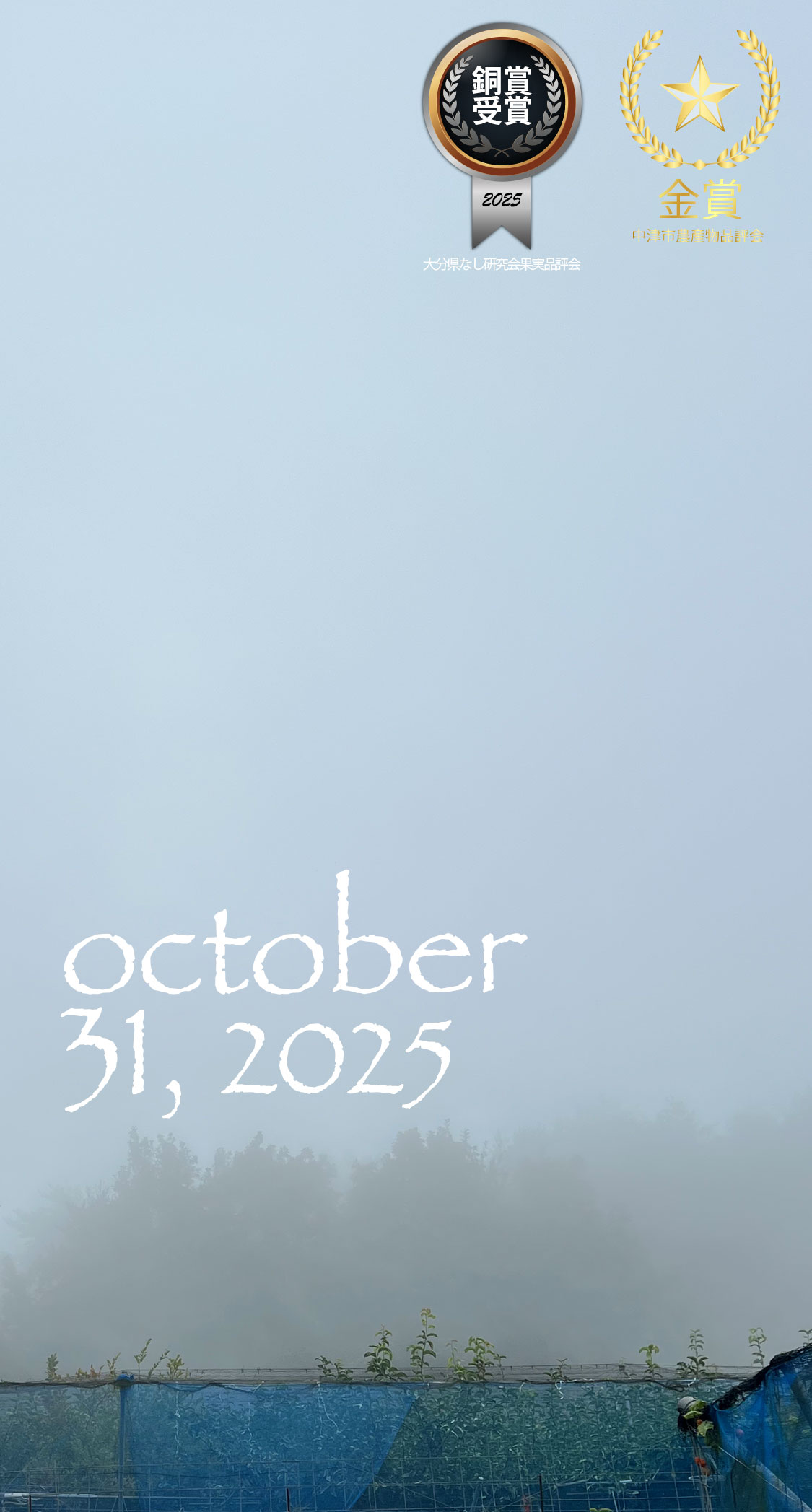 新高の収穫ほぼ終了。