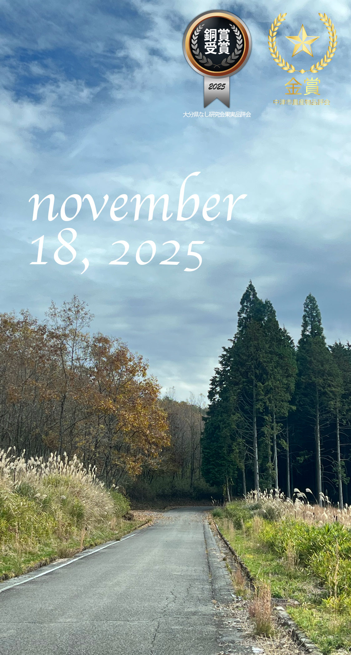 人工林と原生林。