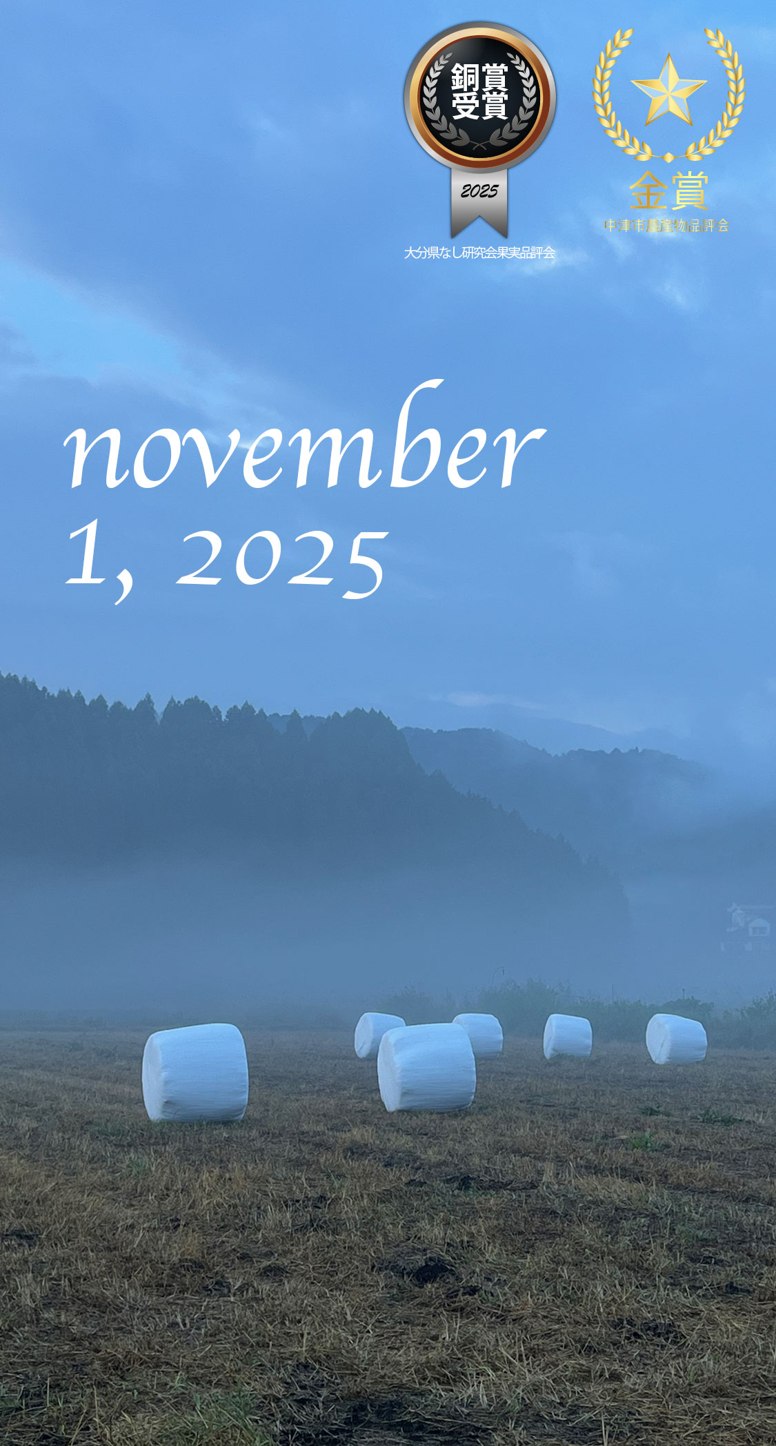 早朝、のどかな道。