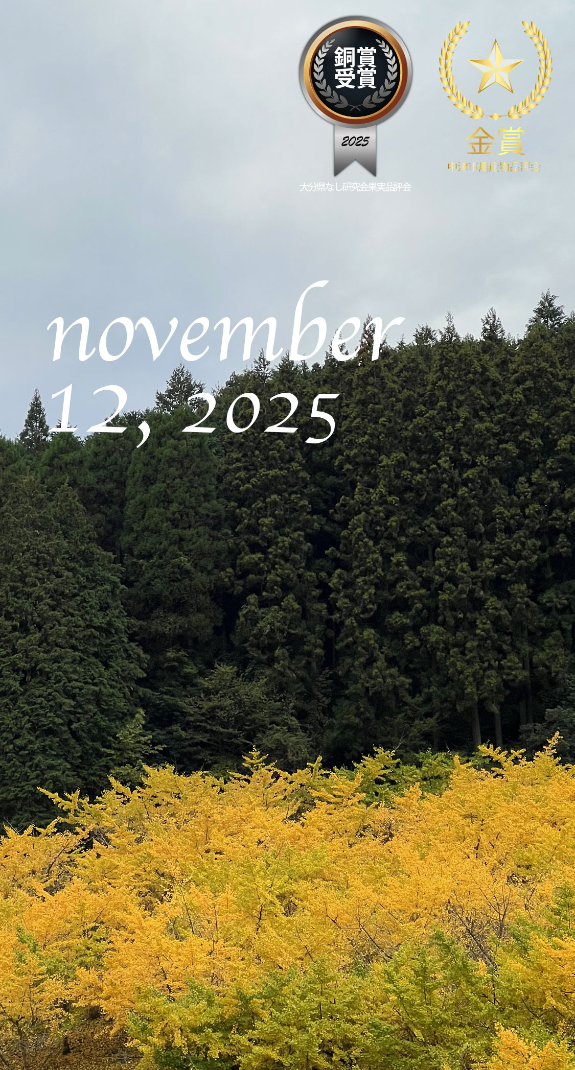 今年最後の出荷。