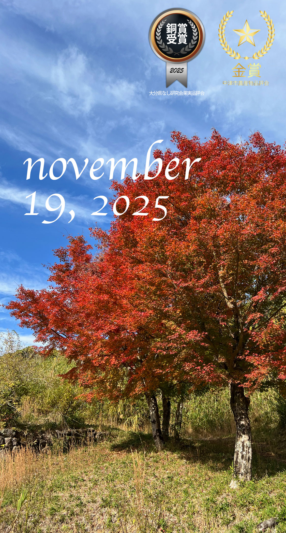 自宅の草刈り。