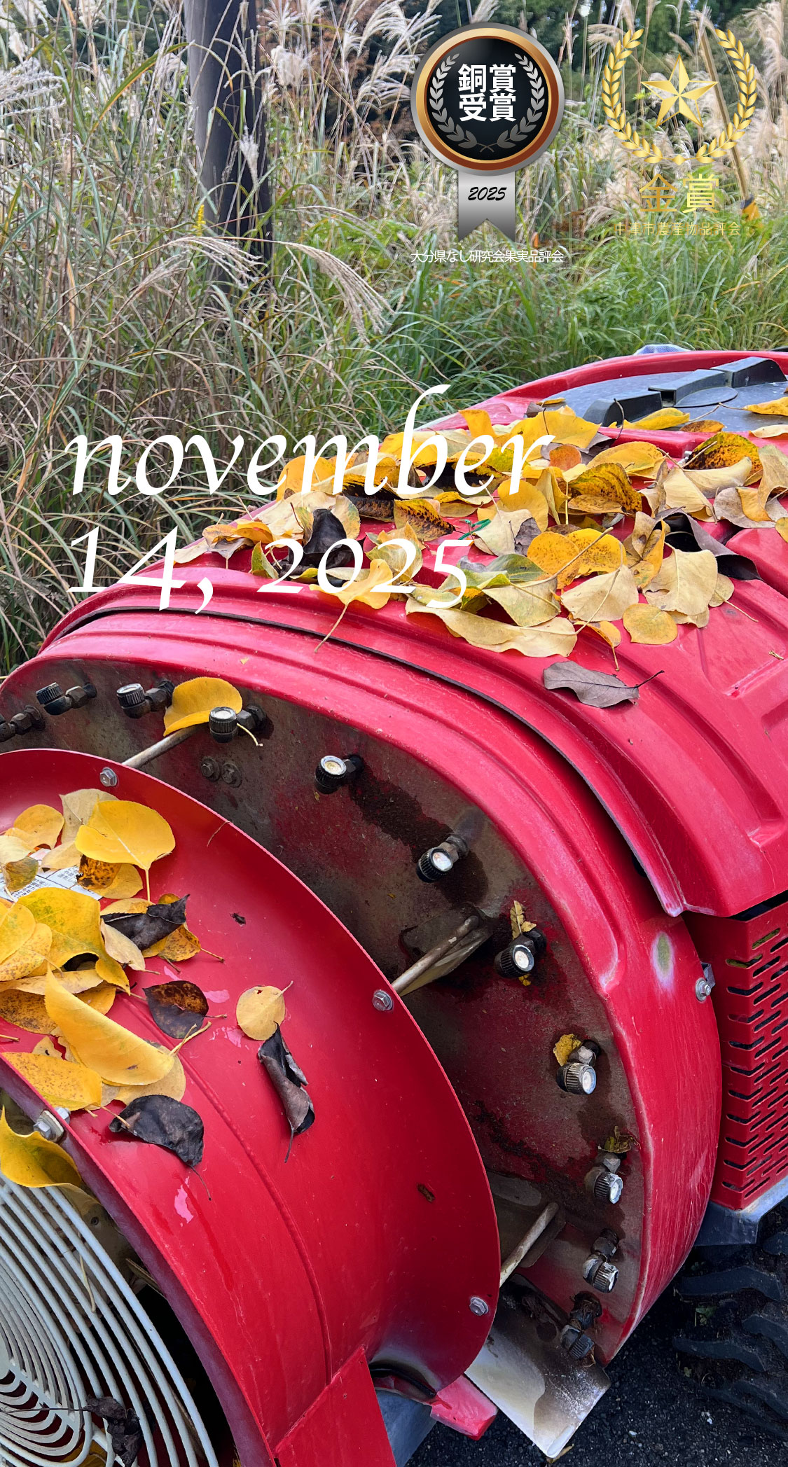 最後の農薬散布。