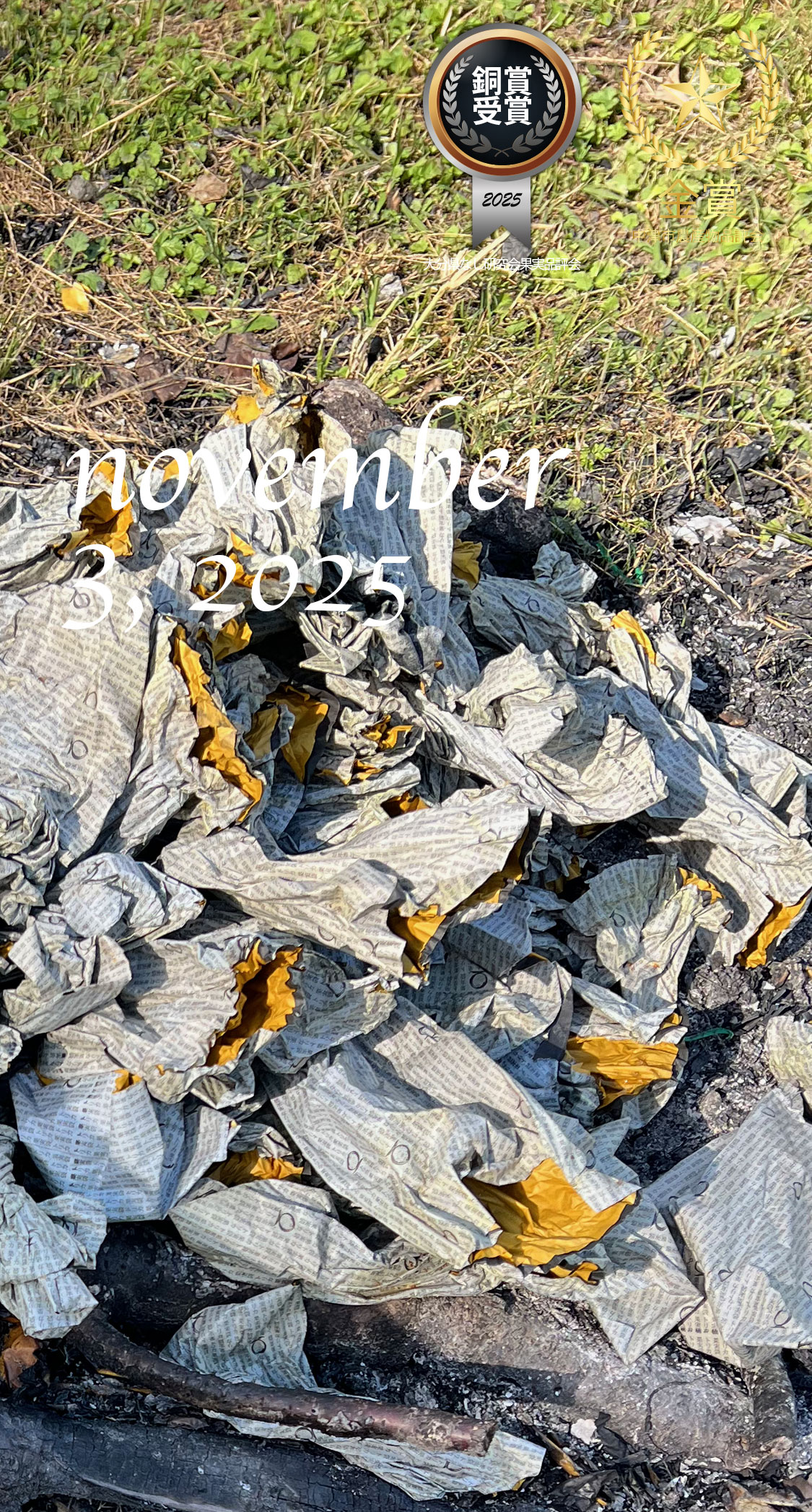 梨棚の掃除開始。