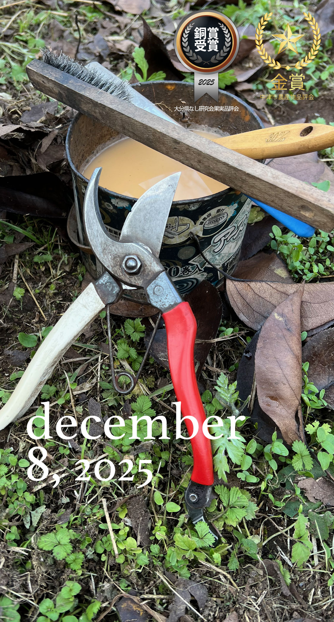 2年目の剪定鋏。