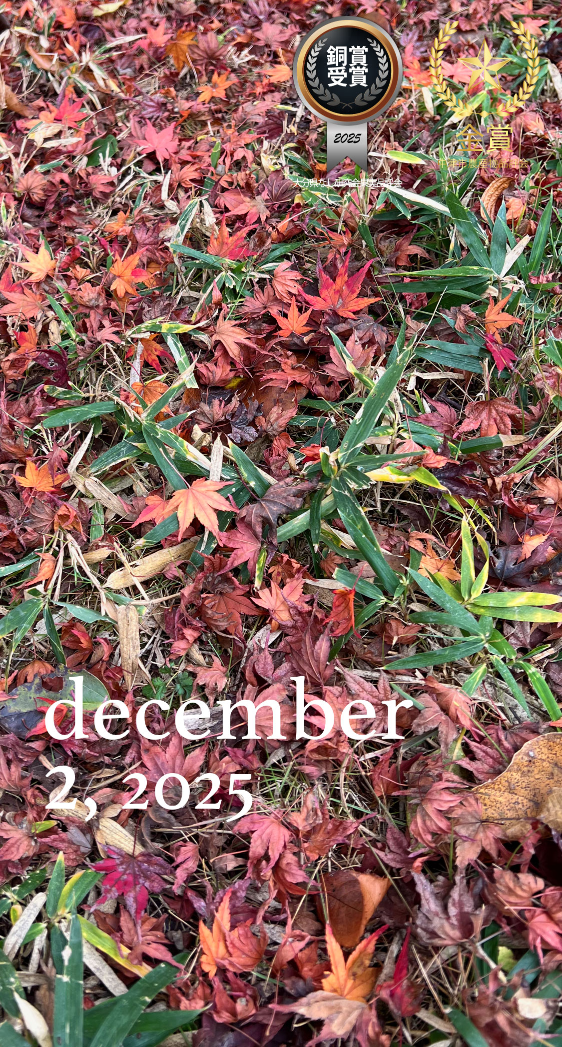 紅葉の終わり。