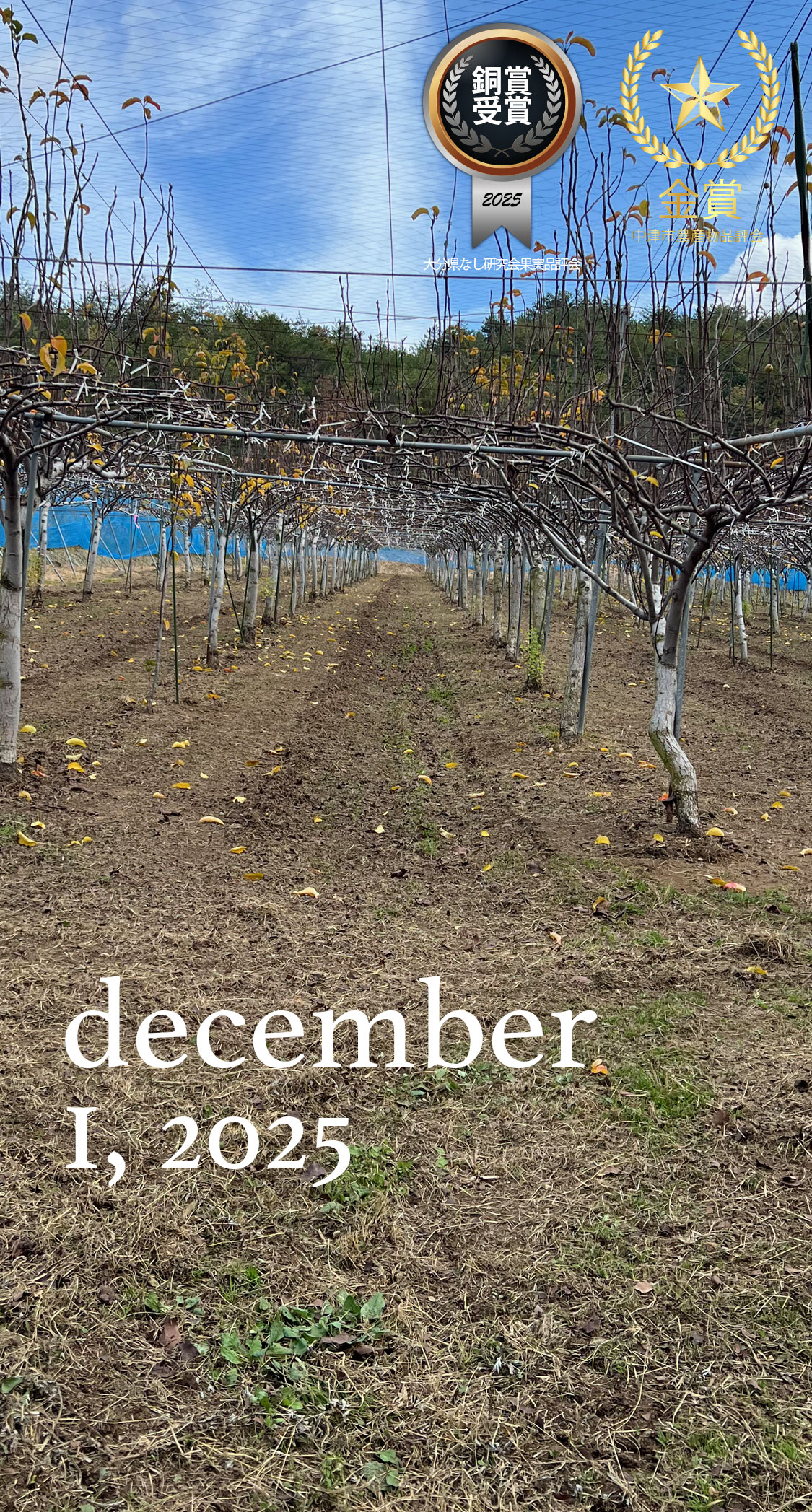 流線園の冬の準備。