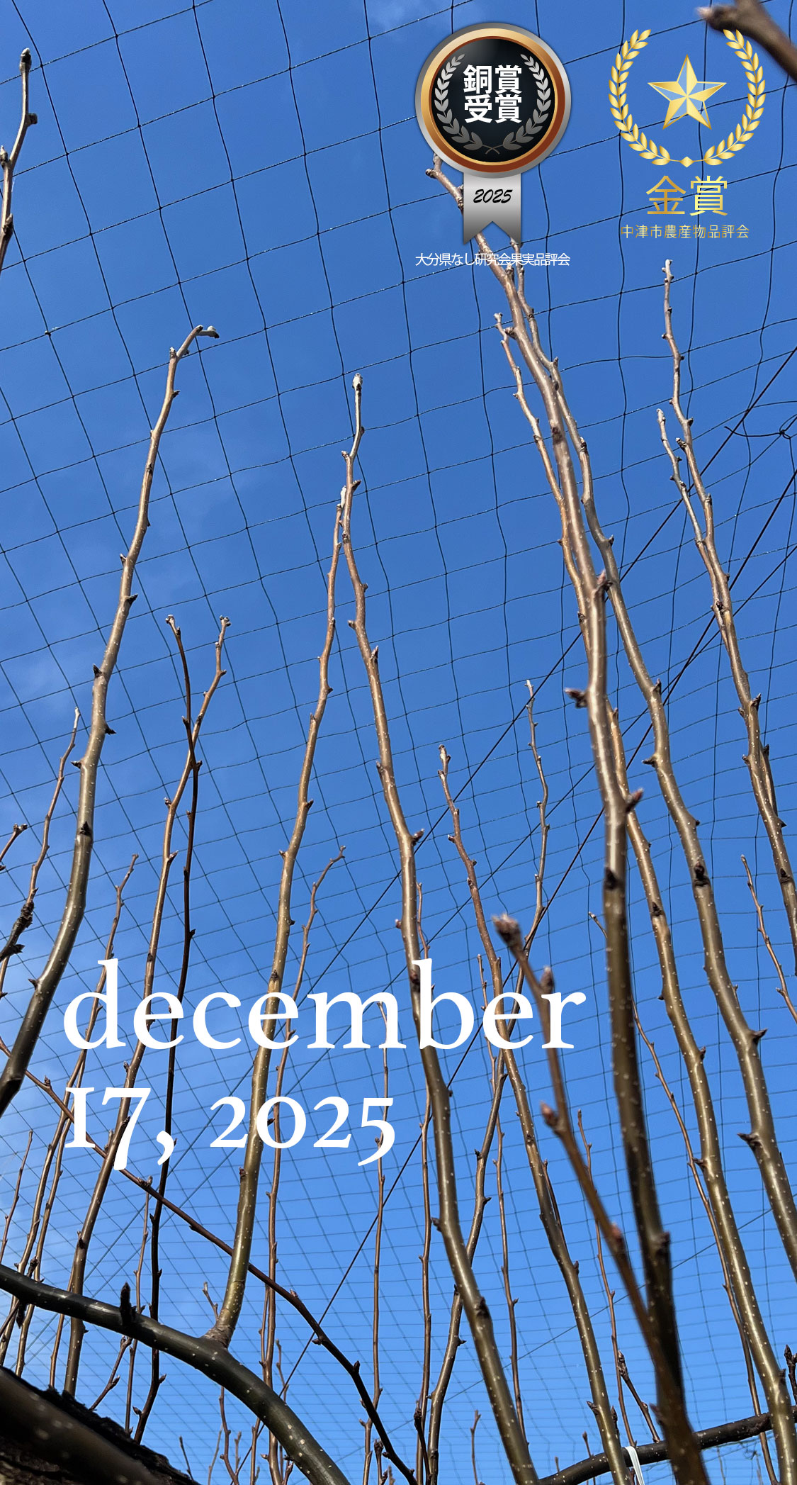 長く伸びた徒長枝。