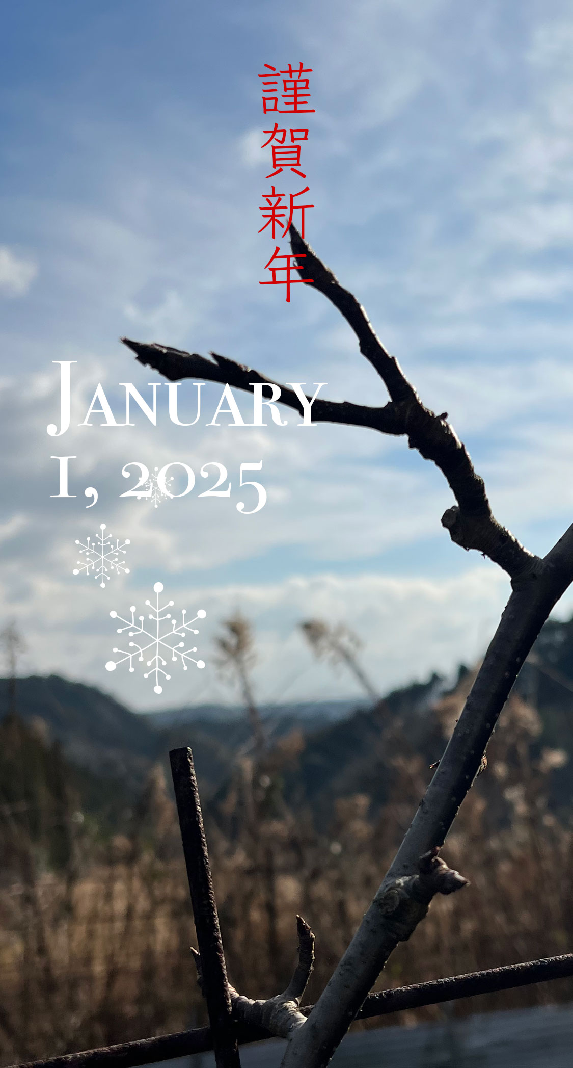 新年の始まりは剪定。