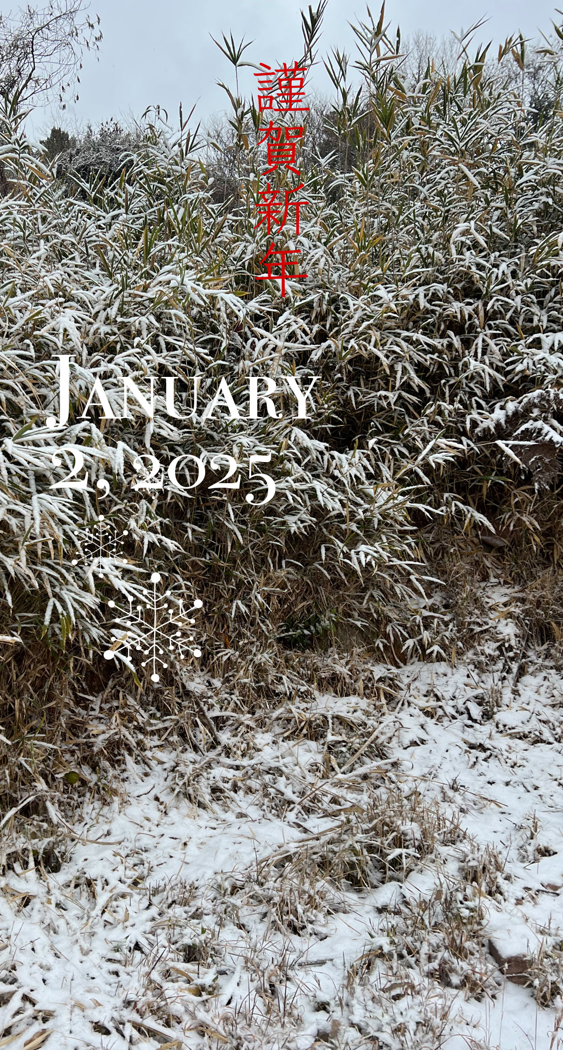 雪が降り始める。