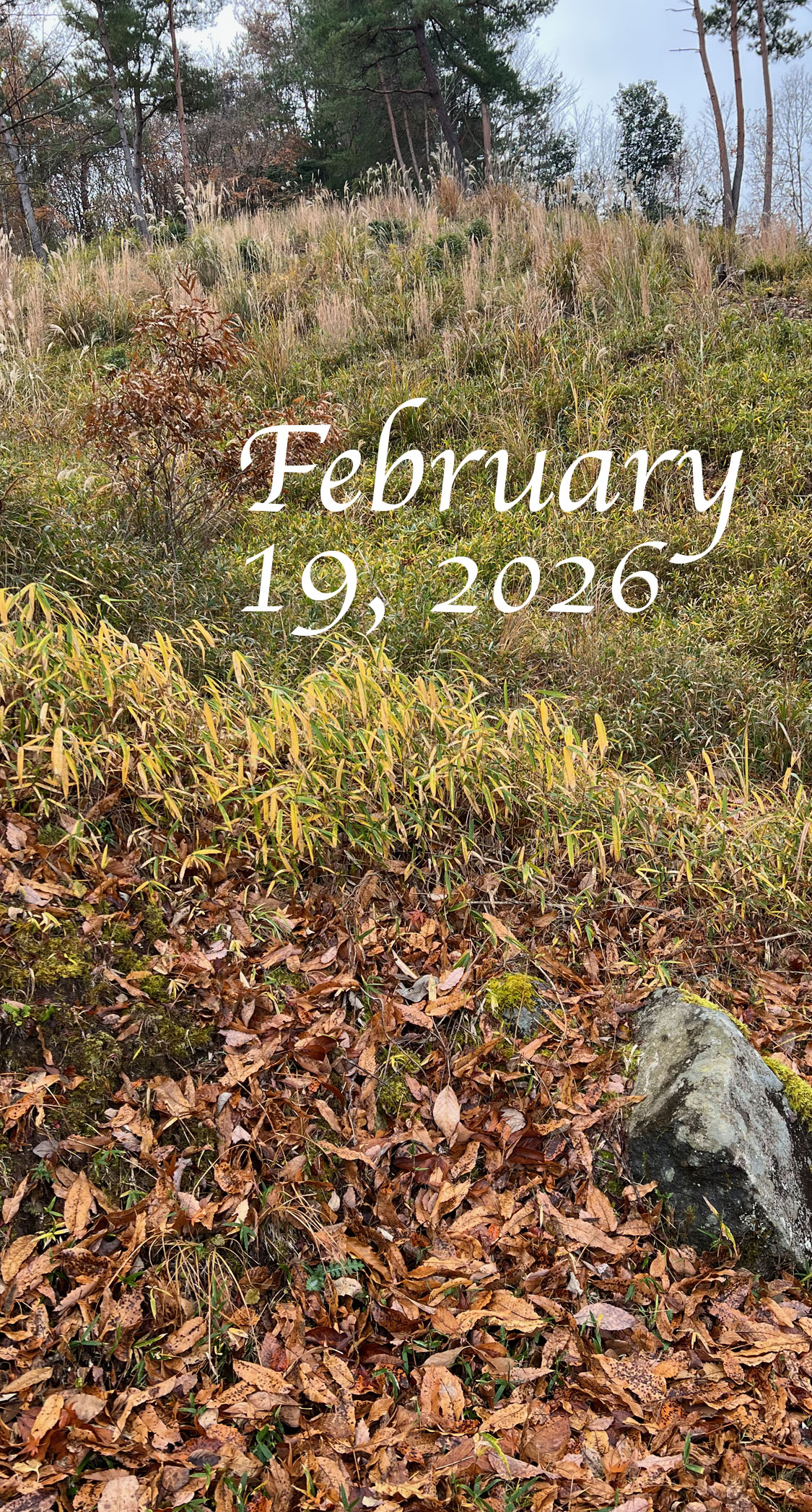 玖珠山国線改良工事。